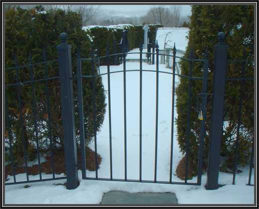 Custom gate and rail by Vermont Iron Craft - photo